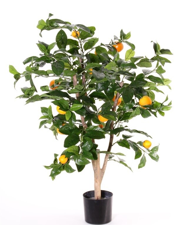 Sinaasappelboompje 85 cm