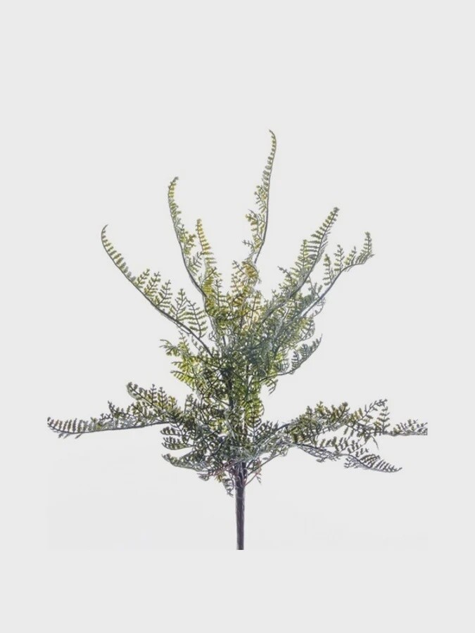 Fern Forest Bush 30 cm