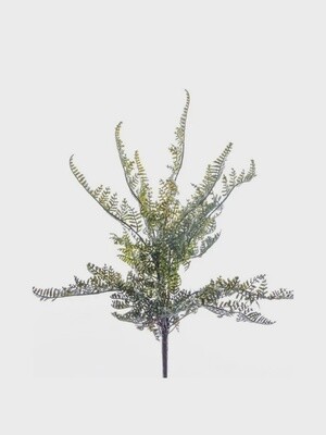 Fern Forest Bush 30 cm