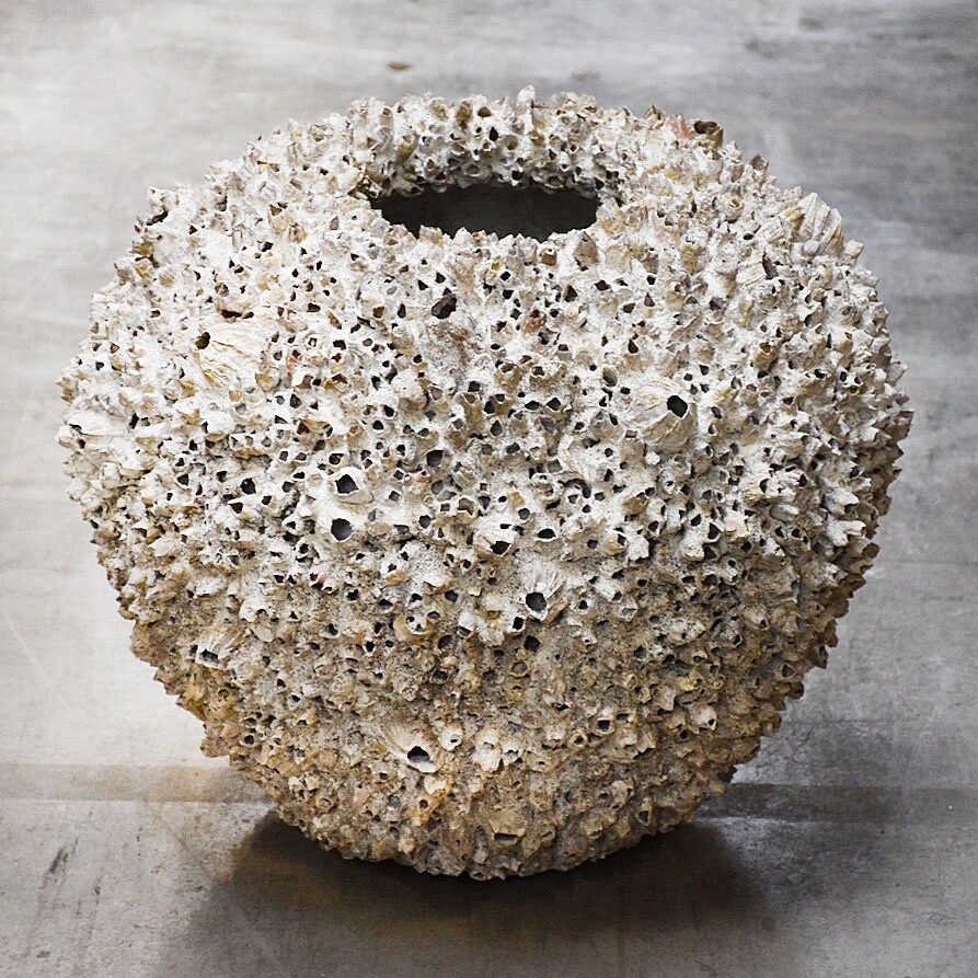 Schelpenpot Extra