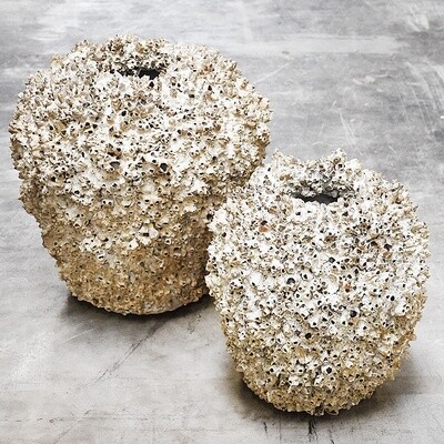 Schelpenpot Medium