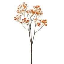 Gypso Spray Orange