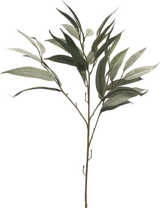 Mango leaf spray