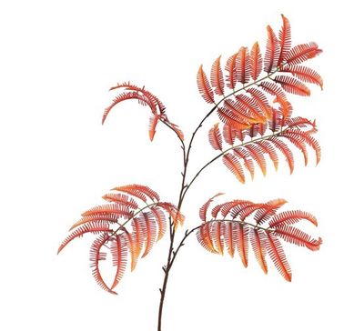 Arista Leaf Orange 150 cm