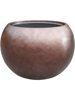 Globe Matt Coffee 43