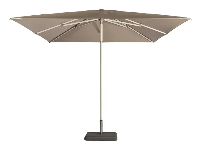 Parasol