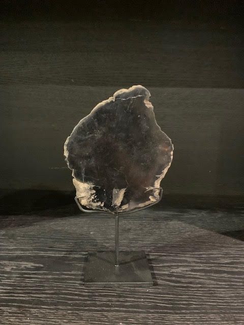 Versteend hout op voet klein