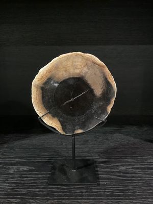 Versteend palmhout op voet 0.7kg