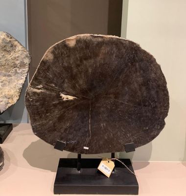 Versteend hout 38 kg op voet