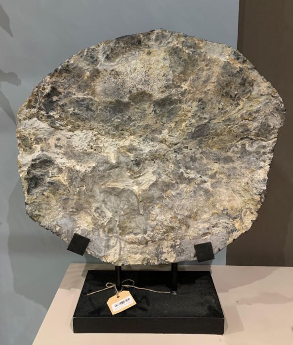 Versteend hout 40 kg op voet