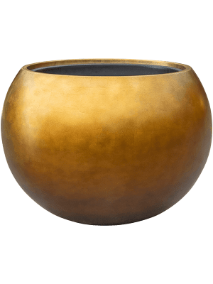 Globe Matt Honey 37
