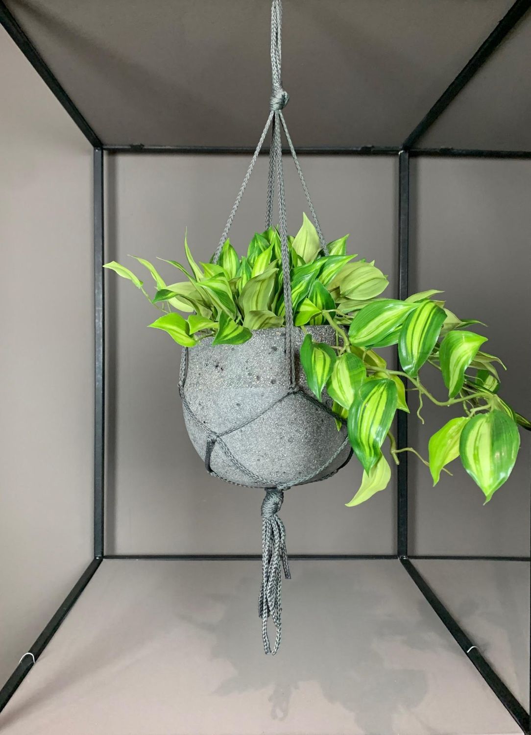 Hanging Stone opmaak div. hangplanten