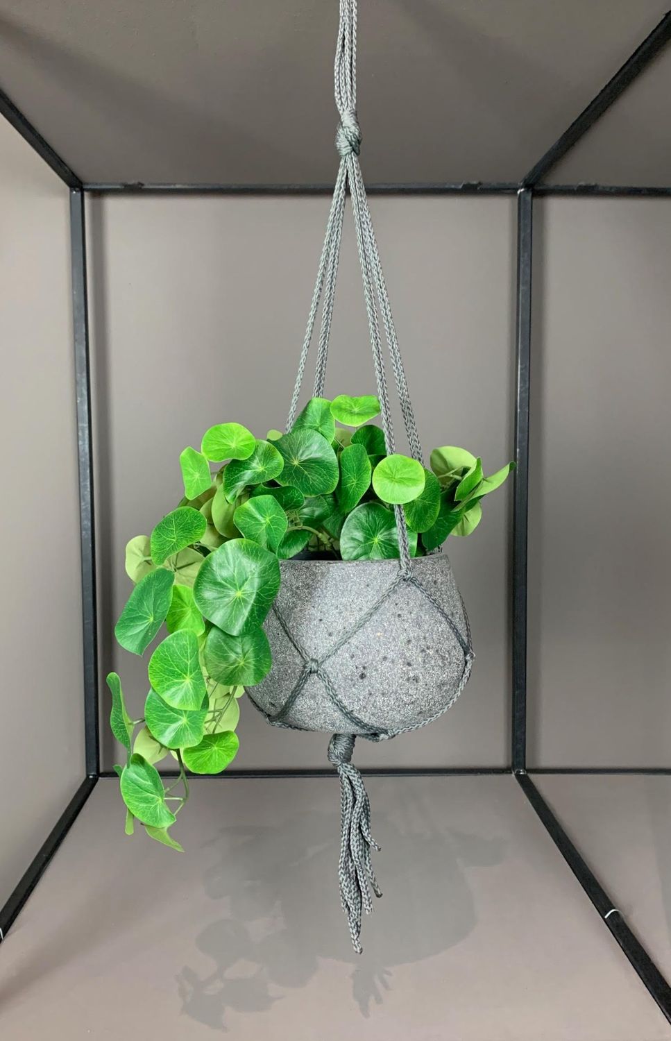 Pax Hanging Stone opmaak div. hangplanten