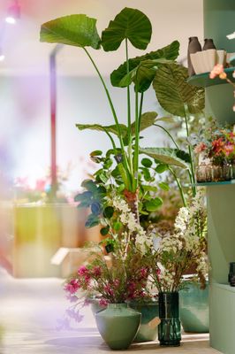 Kunstplanten
