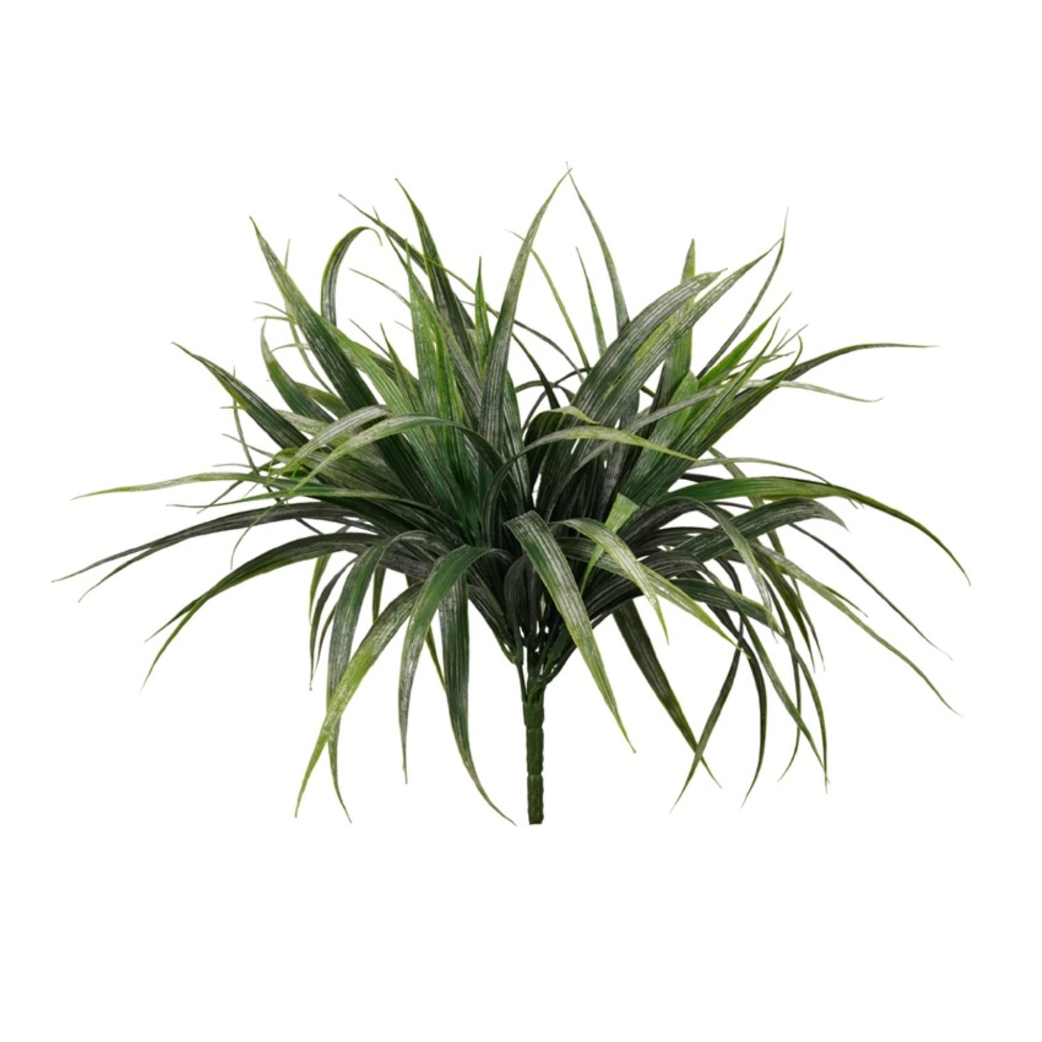 Grass Bush
