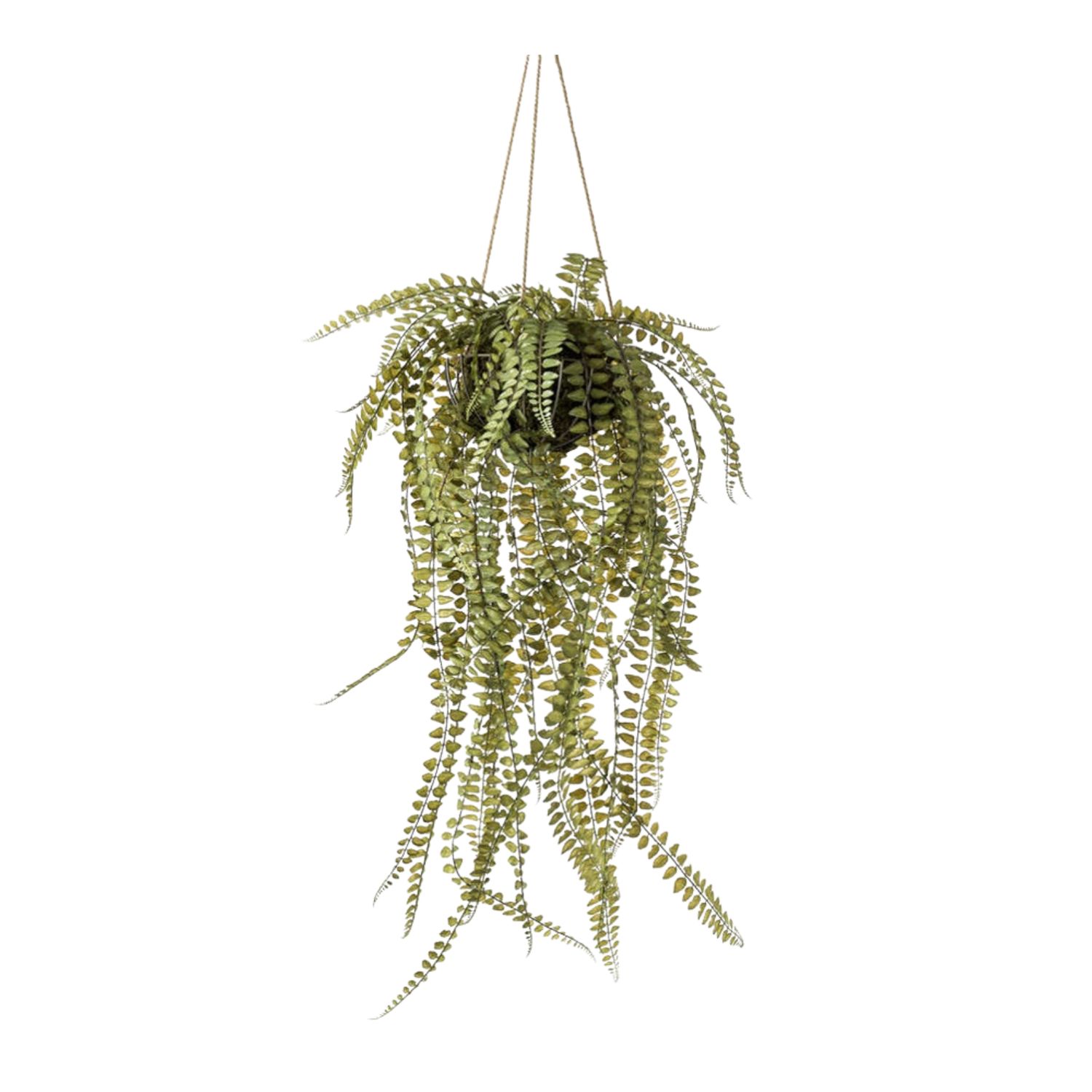 Fern on Iron Stand 95