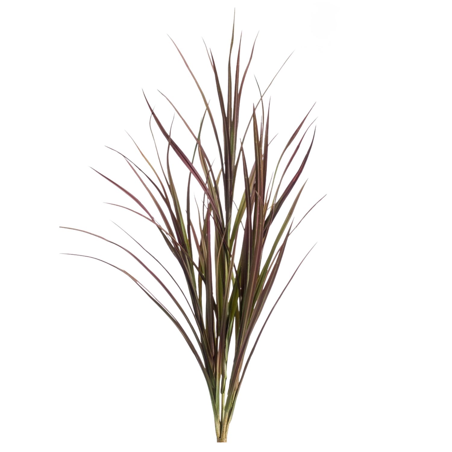 Grass Burgundy UV