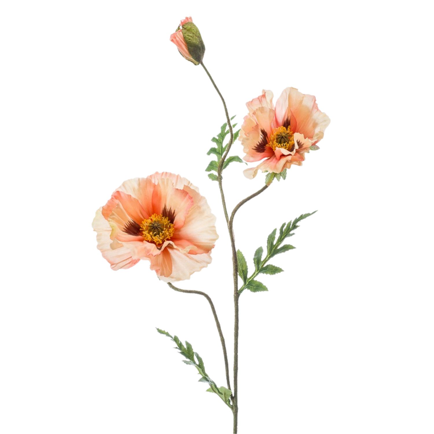 Poppy spray