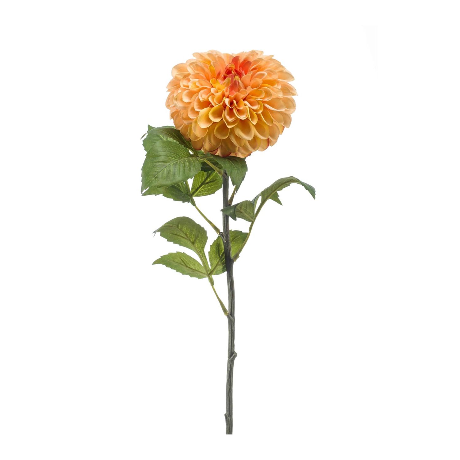 Dahlia Pompon Spray Peach