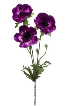 Anemone Spray Paars