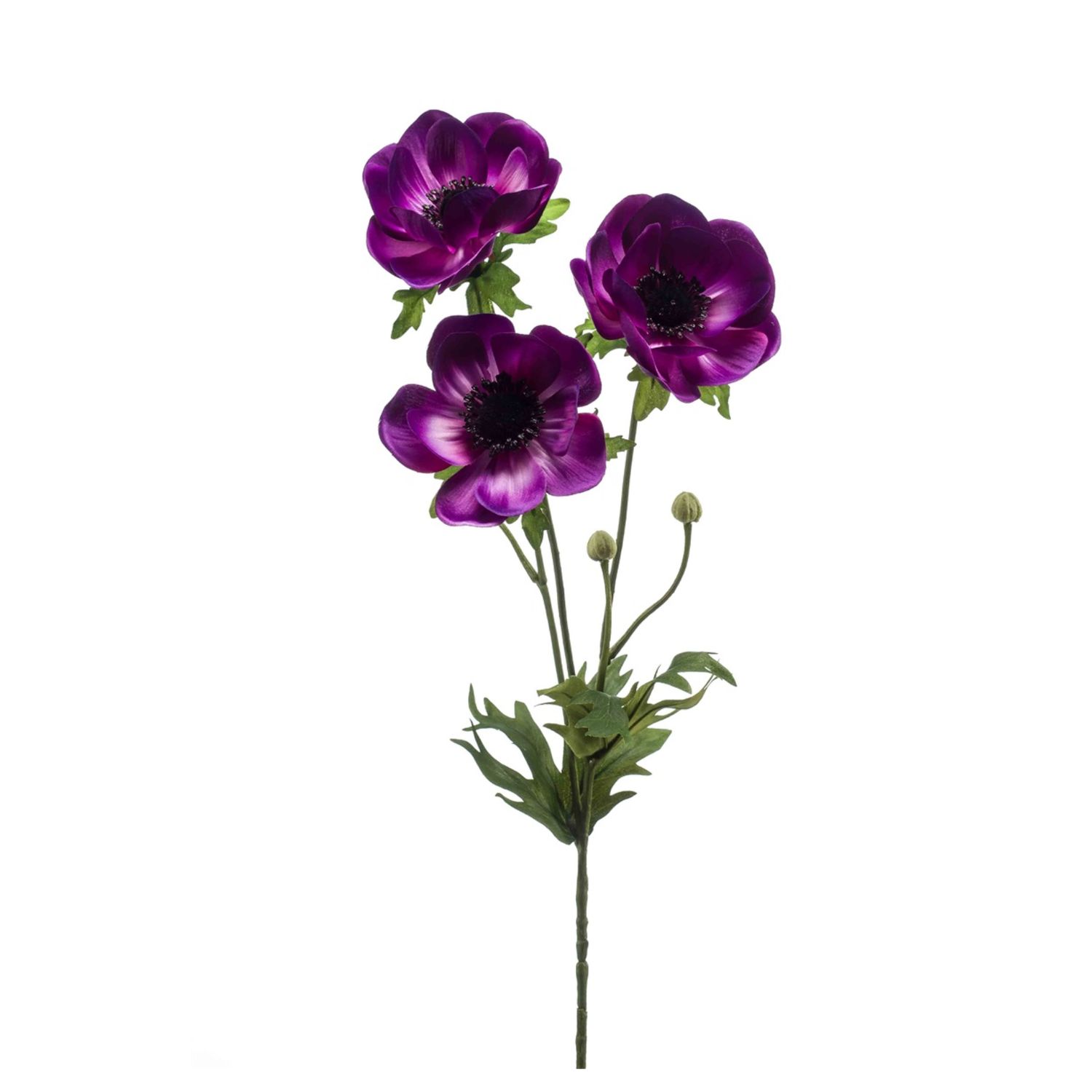 Anemone Spray Paars