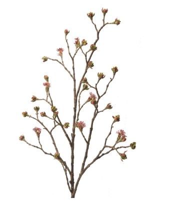 Maple Fruit Branch Burgundy