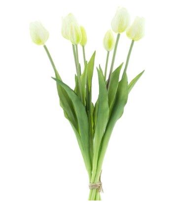 Classic tulp bundle Cream