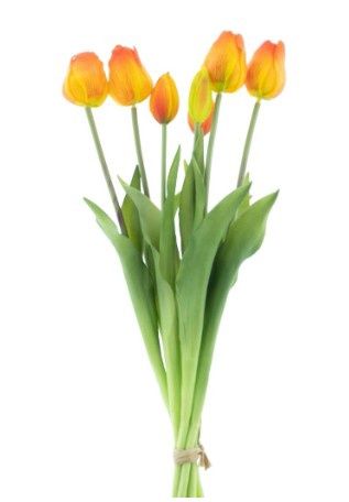 Classic tulp bundle Oranje