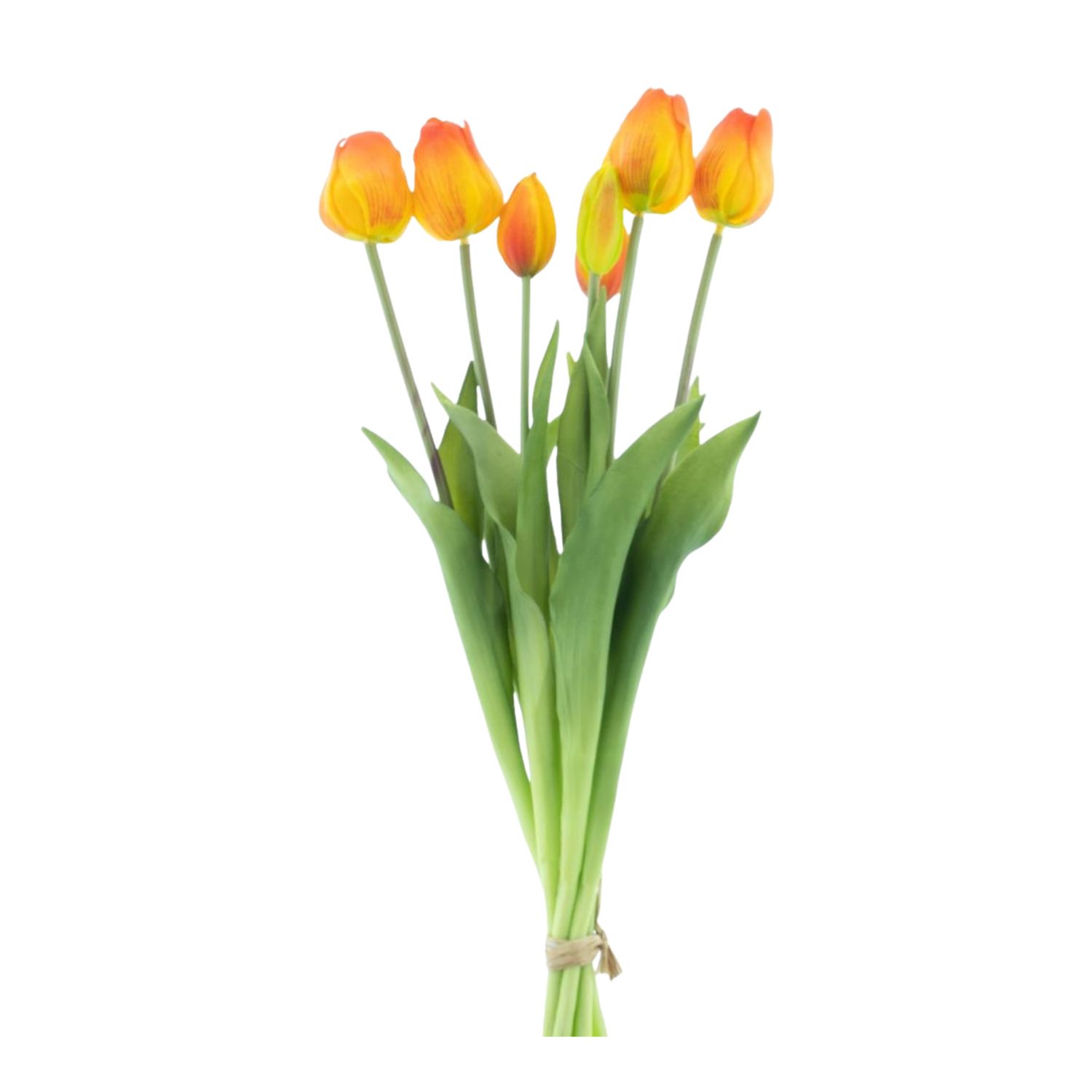 Classic tulp bundle Oranje