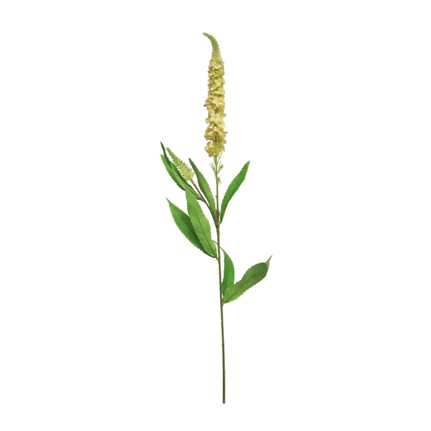 Veronica spray peach