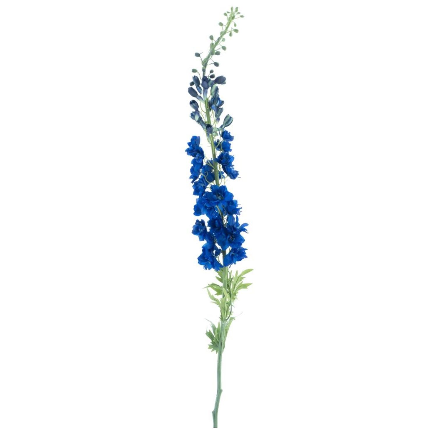 Giant Delphinium spray Linus blue