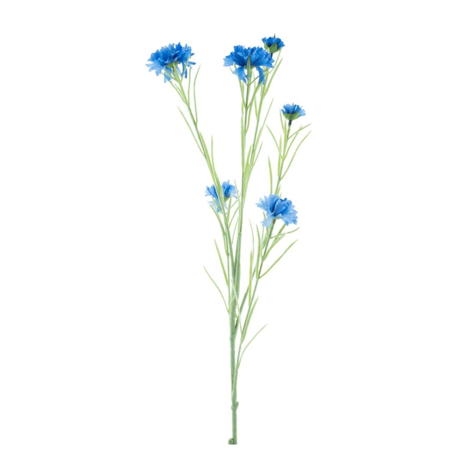 Centaurea spray Yuki blue