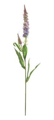 Veronica spray purple 76cm