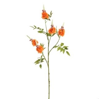 Spike Bloesemtak Oranje