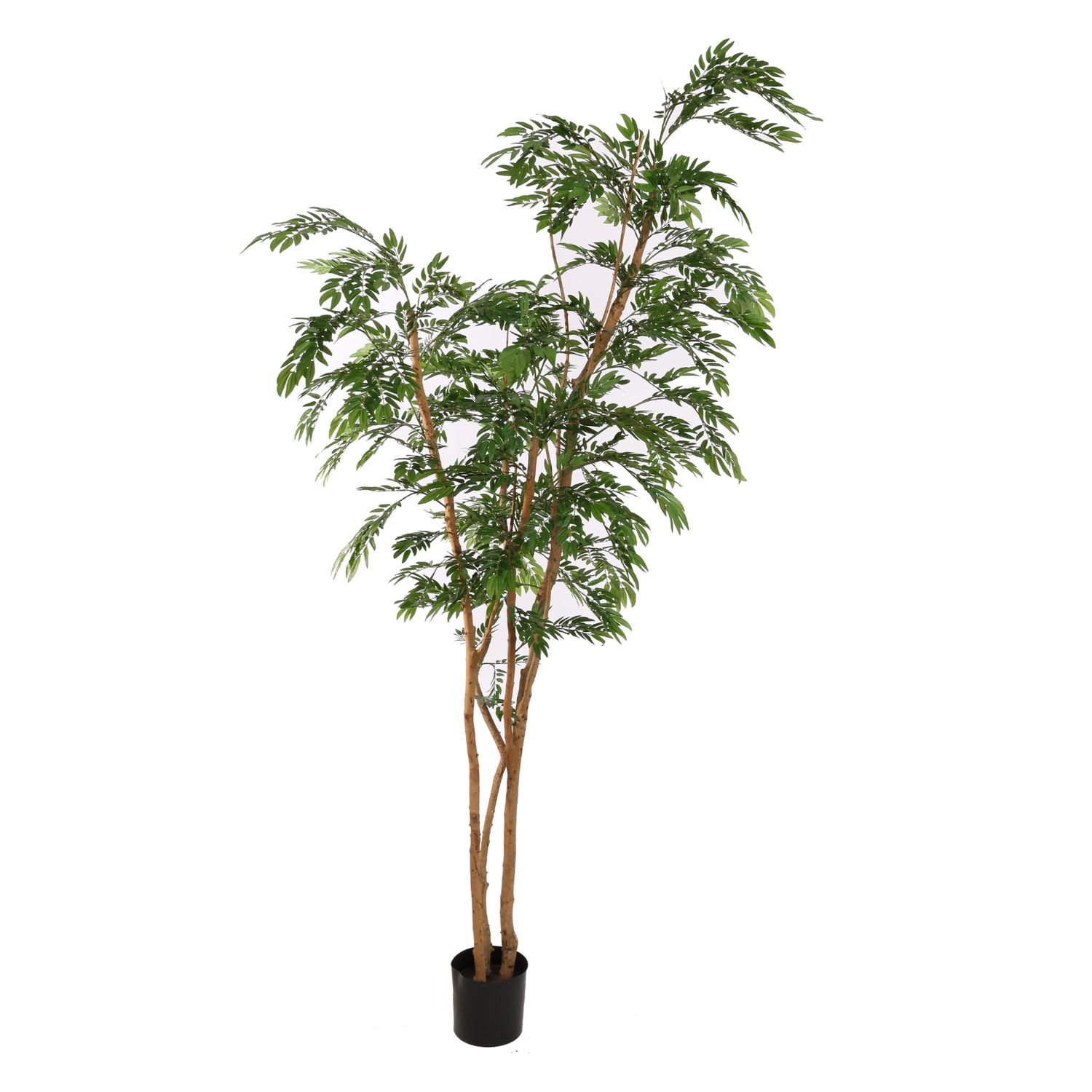 Ronbarr Tree 240 cm