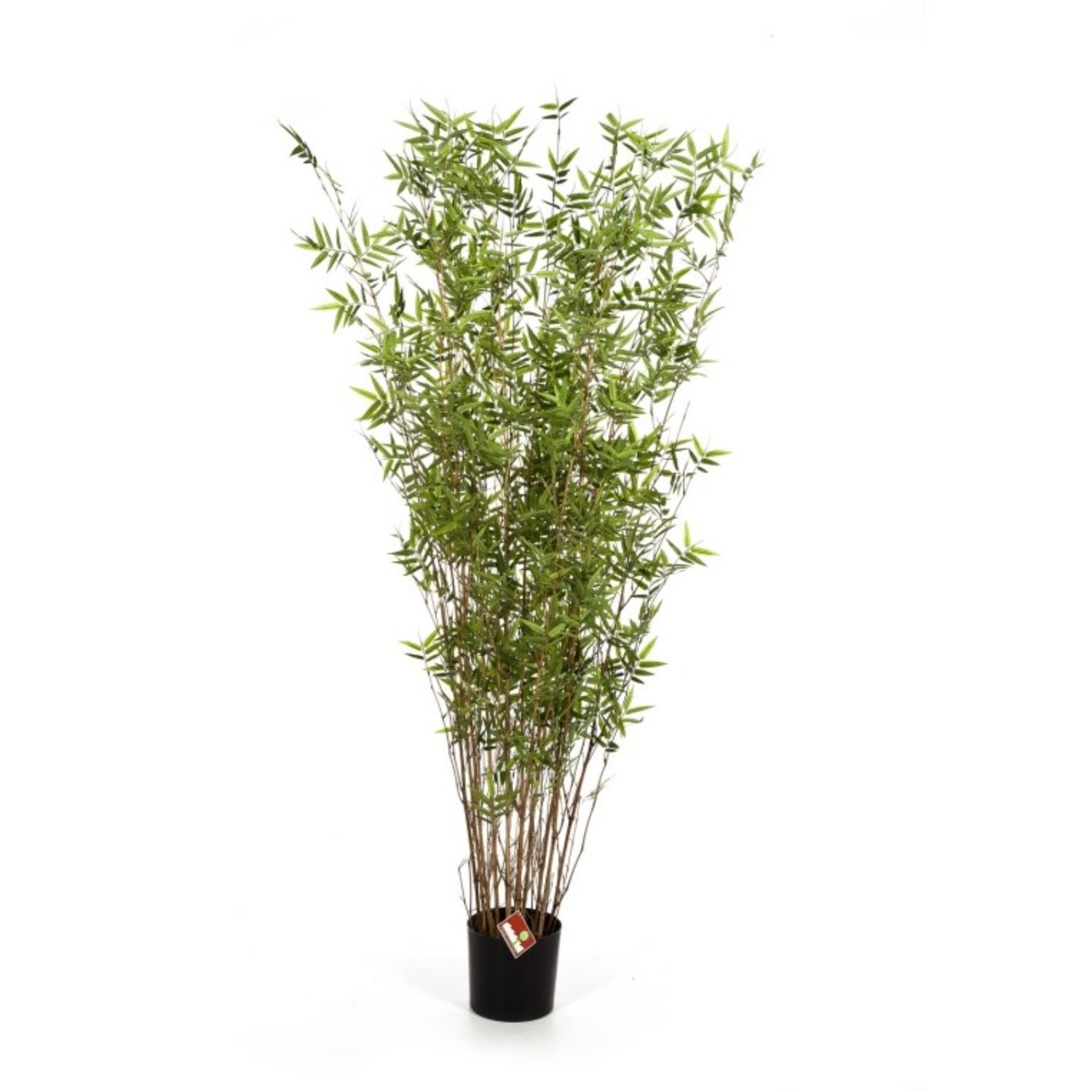 Oriental Bamboo Tree 190 cm