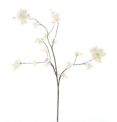 Prunus Malaga Spray White 126 cm