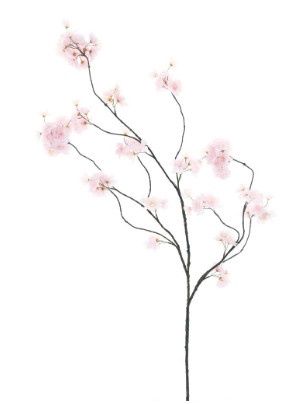 Prunus Malaga Spray Pink 126 cm