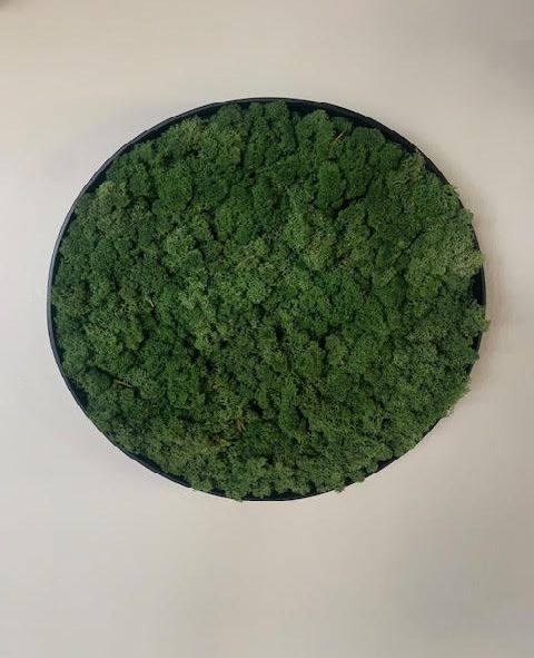 Moscirkel, Size: ø50 cm