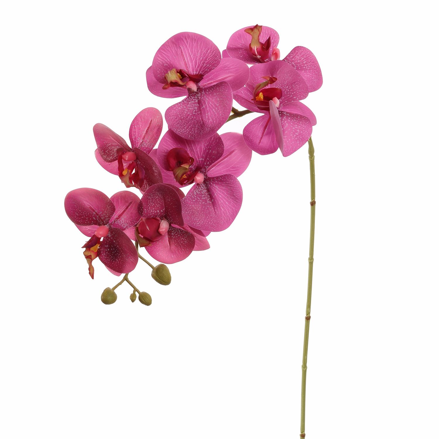 Phalaenopsis 85cm burgundy