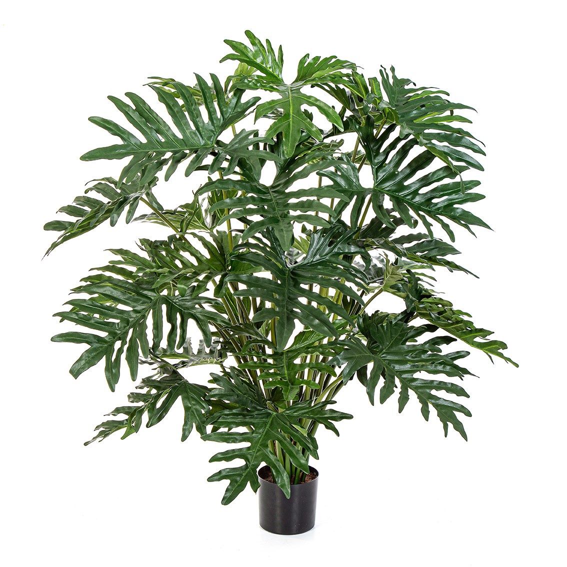 Philodendron Bush 125 cm