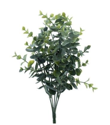 Eucalyptus bush grey