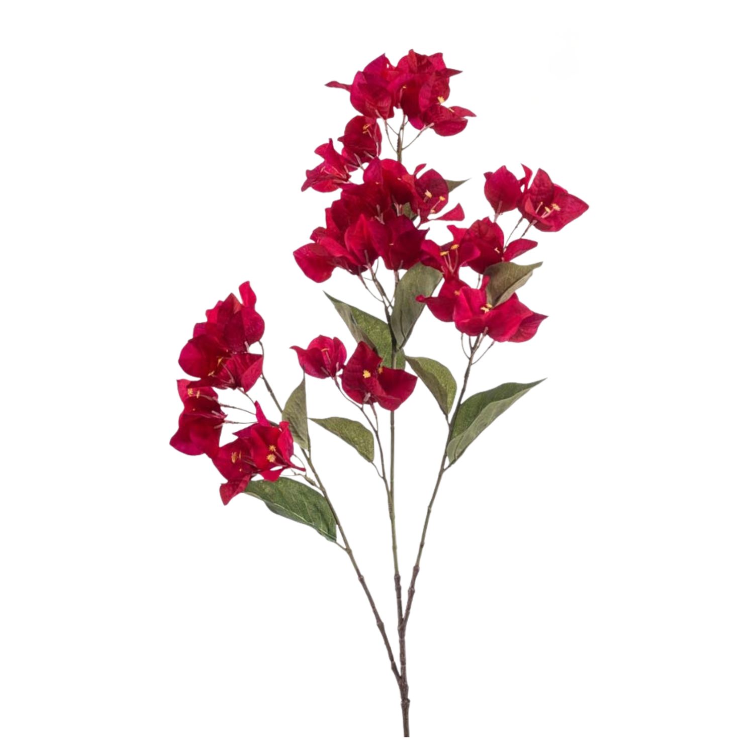 Bougainvillea spray UV fuchsia