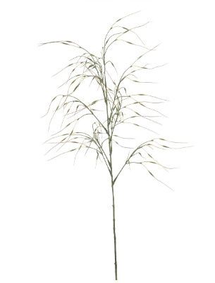 Stipa spray 110cm green