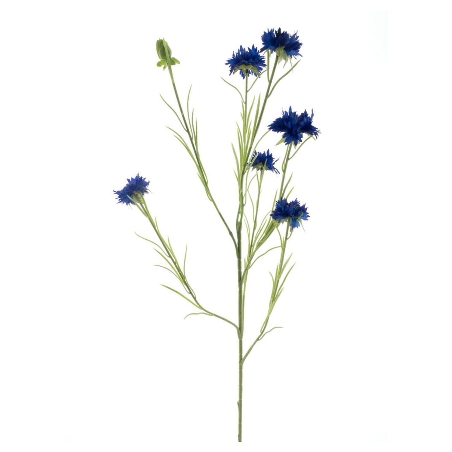 Cornflower spray James