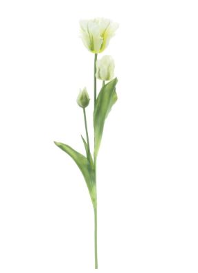PSO Parrot tulip spray Sally - Cream