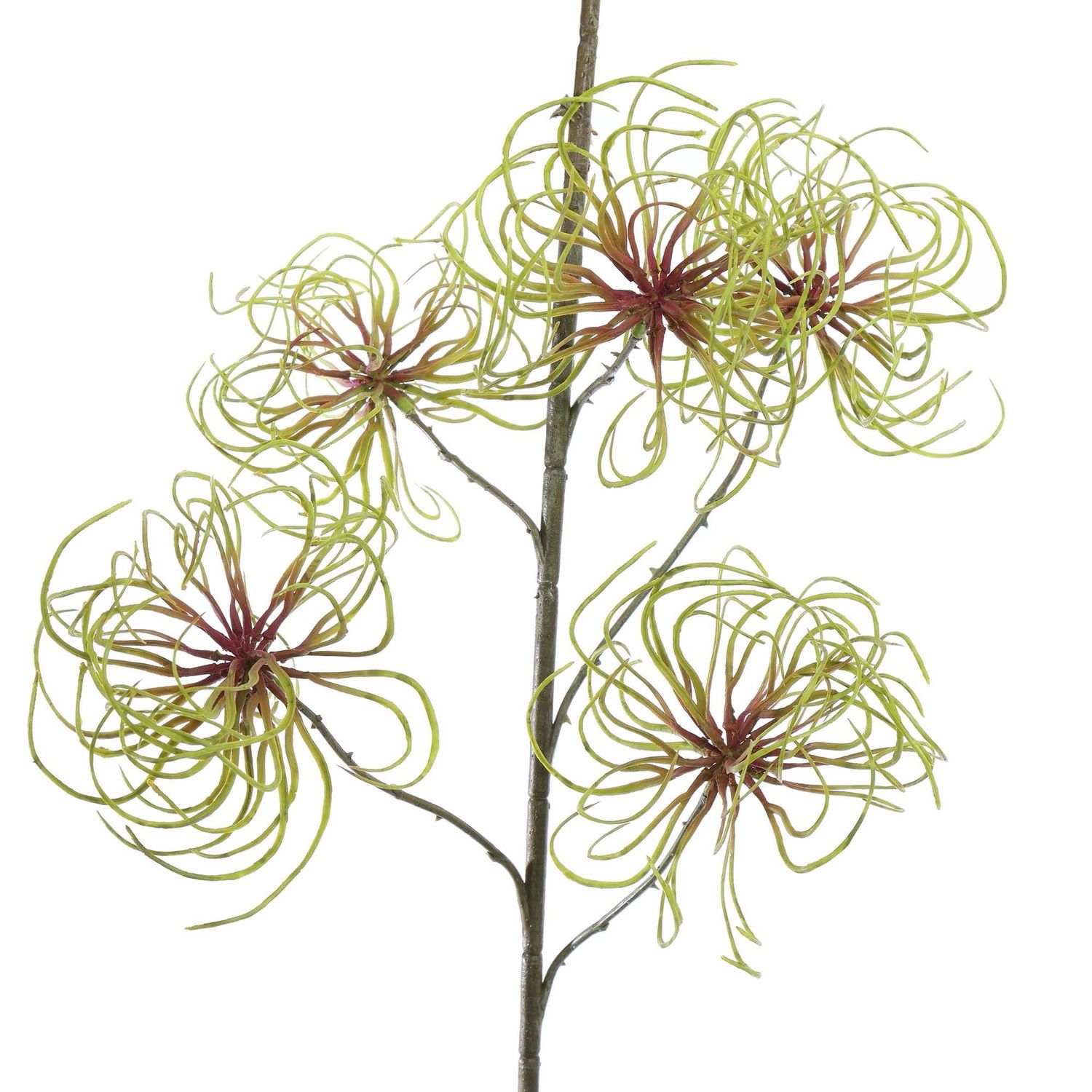 Clematis seed pod 147cm green