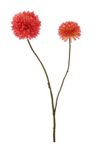 Chrysanthemum 65cm pink