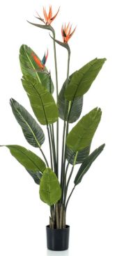 Strelitzia + bloem 120cm