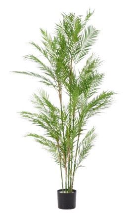 Palm 180 cm brandvertragend